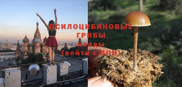 дурь Белоозёрский