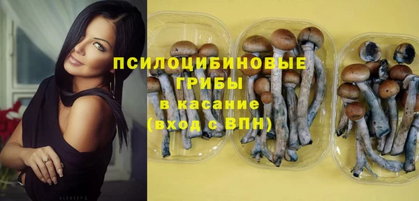хмурый Богородск